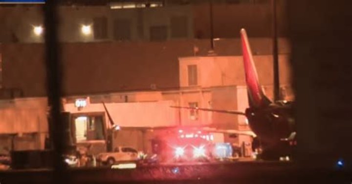 
American Airlines flight makes emergency landing at Miami airport over ‘odor’ from passenger’s carry-on 