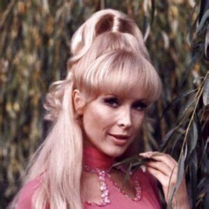 
Barbara Eden Became The Target Of A Death Hoax When Rumors Began Circulating About Her Death 