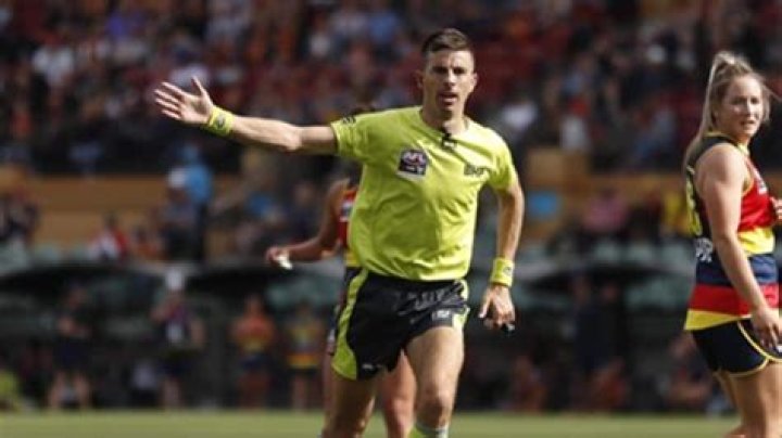 Brownlow Betting Scandal: Michael Pell AFL Umpire Arrested- What Did He Do?