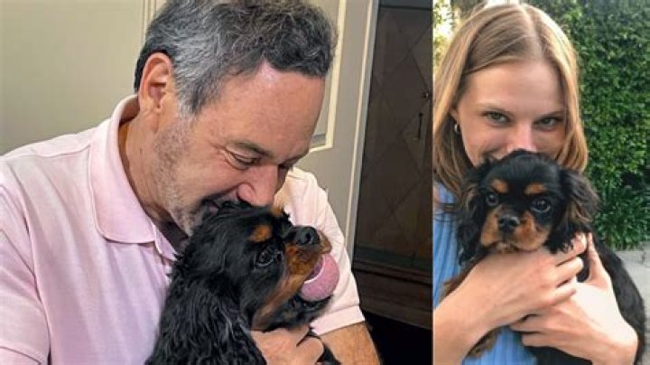 
David Frum Daughter Miranda Frum Is Creative Executive At Blue Spruce Productions 