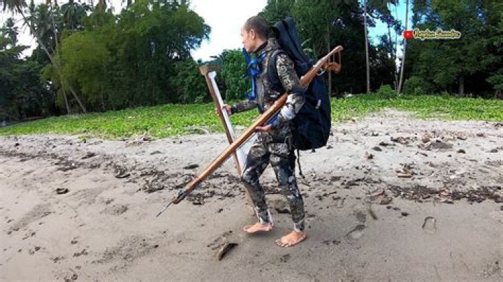 Dejan Sverko Height, Weight, Net Worth, Age, Birthday, Wikipedia, Who, Nationality, Biography