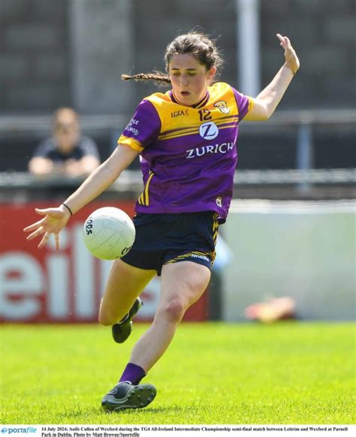 
GAA Player Karl Cullen Who Died In Co Wexford Car Accident 