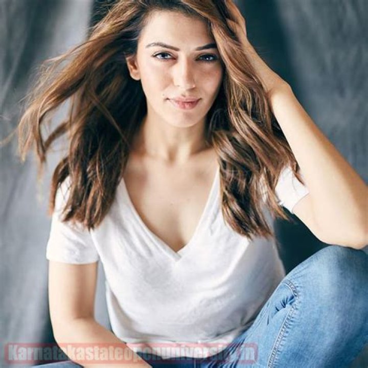 
Hansika Motwani Height, Weight, Net Worth, Age, Birthday, Wikipedia, Who, Nationality, Biography 
