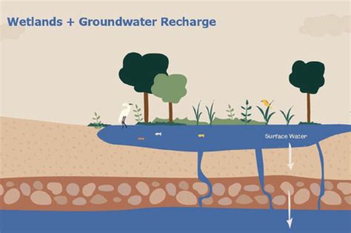 
Has groundwater use increased over time? 