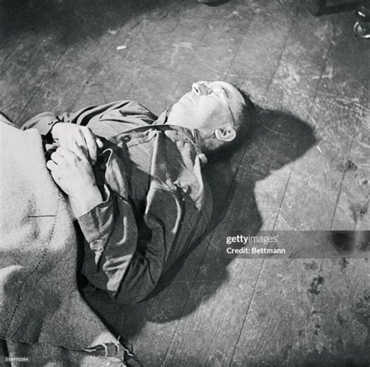 
Heinrich Himmler Cause of Death, How did Heinrich Himmler Die? 