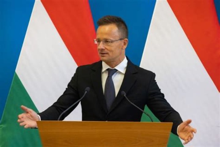
Hungarian chief diplomat calls Western sanctions ‘complete failure’ 