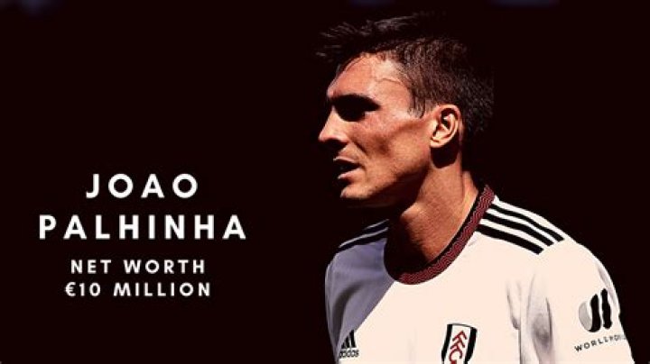 
Joao Palhinha Height, Weight, Net Worth, Age, Birthday, Wikipedia, Who, Nationality, Biography 