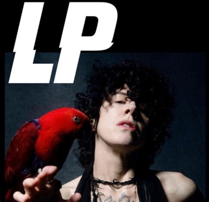 Laura Pergolizzi Transgender – What Is Her Gender? Surgery Before And After Pics