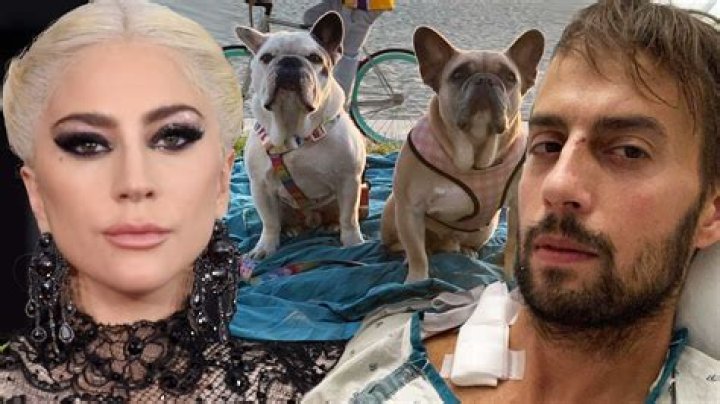 
Man Who Shot Lady Gaga’s Dog Walker During Dognapping Sentenced to 21 Years: ‘I Do Forgive You’ 