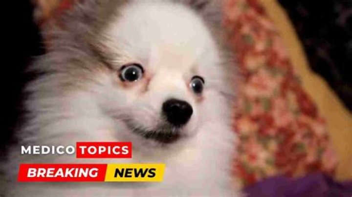 Maximillian revealed that his dog, Benny, passed away