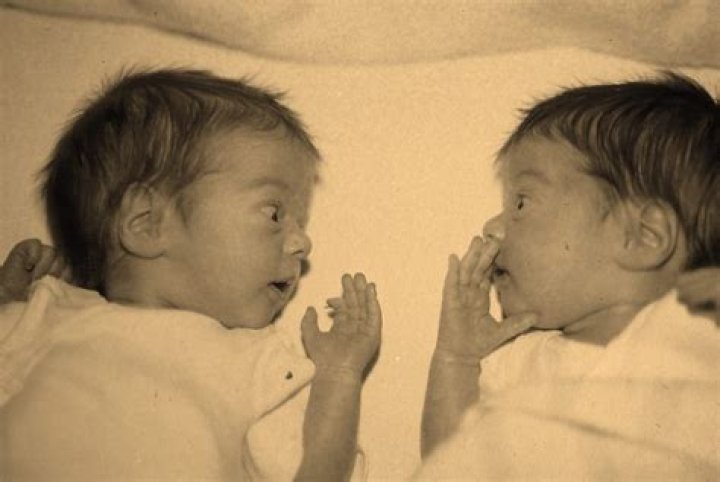 
“Maybe she should try sounding normal”: AOC’s ‘fake’ accent video surfaces online 