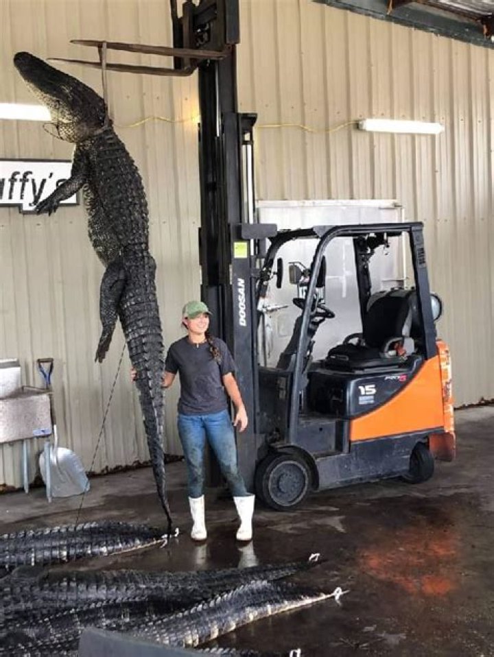 Norman Wise Height, Weight, Net Worth, Age, Birthday, Wikipedia, Who, Instagram, Biography