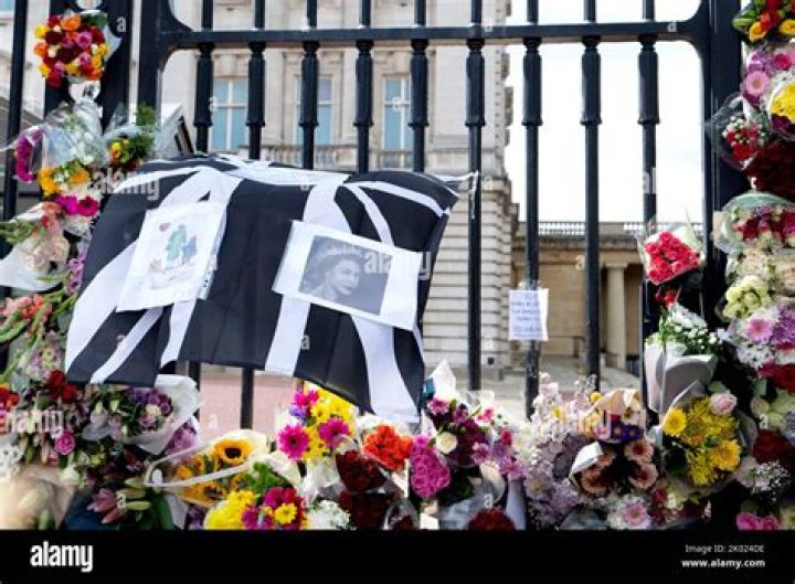 
NRL Player Mark Shulman Of St George Died At The Age Of 70- Death Cause And Funeral Details 