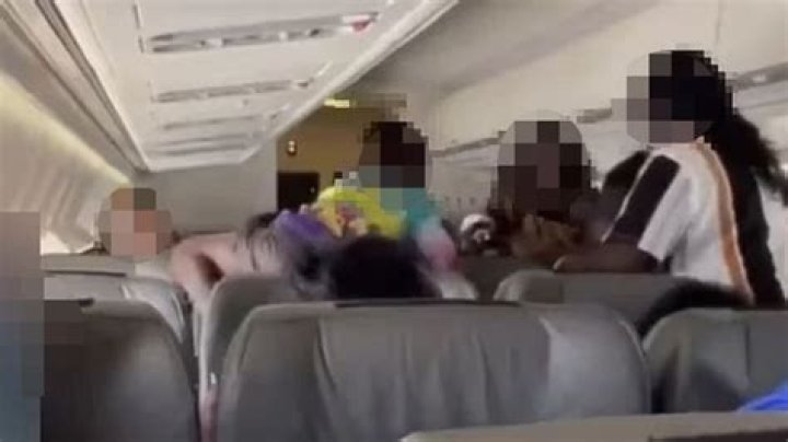 
Passengers charged as viral video shows in-flight brawl that forced emergency landing in Australia 