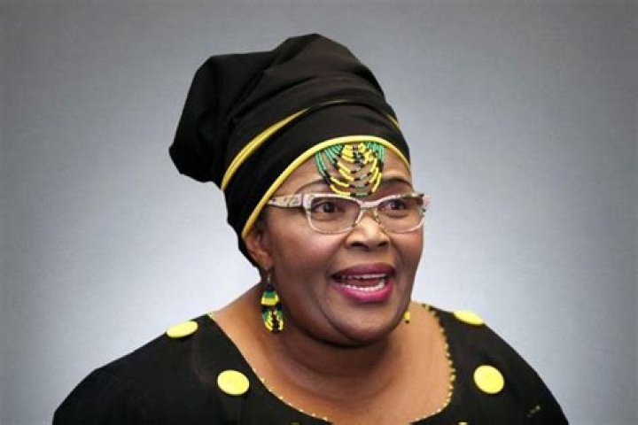 
Pemmy Majodina Age, Birthday, Wikipedia, Who, Nationality, Biography 