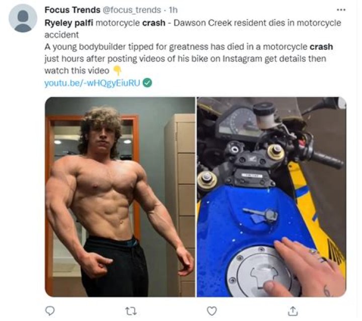 Ryeley Palfi Accident Video Surfaces As Suspected Steroid Overdose A Death Cause