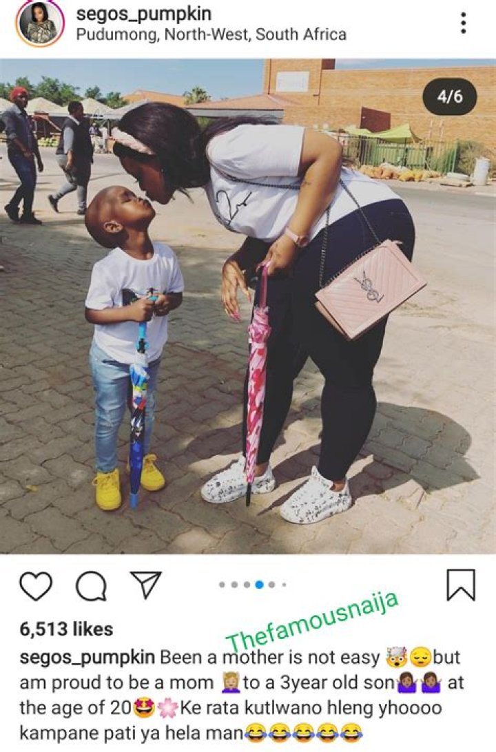 
Segos Pumpkin Height, Weight, Net Worth, Age, Birthday, Wikipedia, Who, Nationality, Biography 