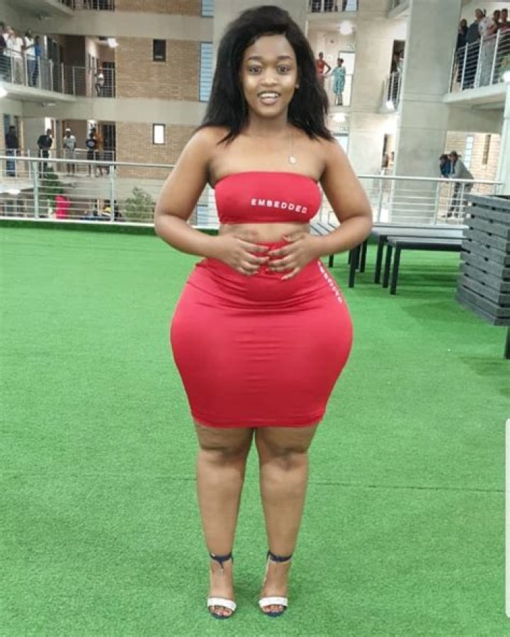 Segos Pumpkin | TG Time