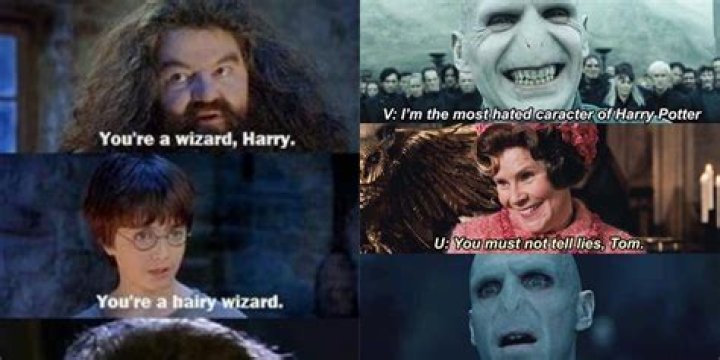 What Happened To Him Meme – Is The Meme’s Origin From Harry Potter?