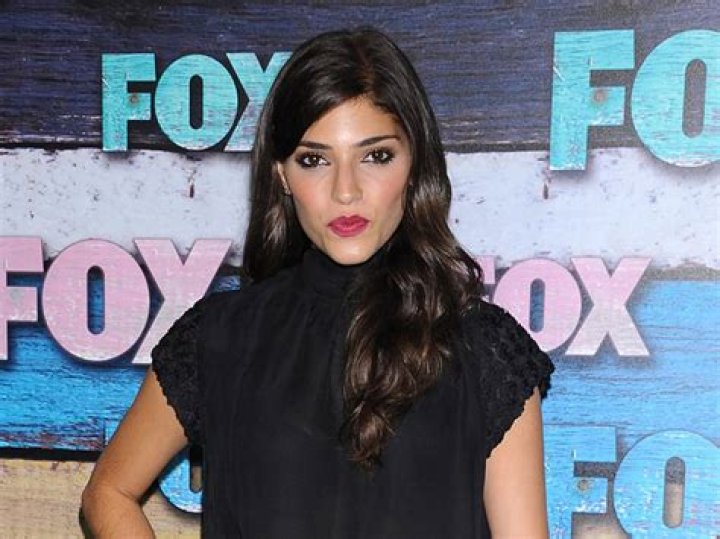 
What is Amanda Setton doing now? Net Worth, Husband, Wiki 