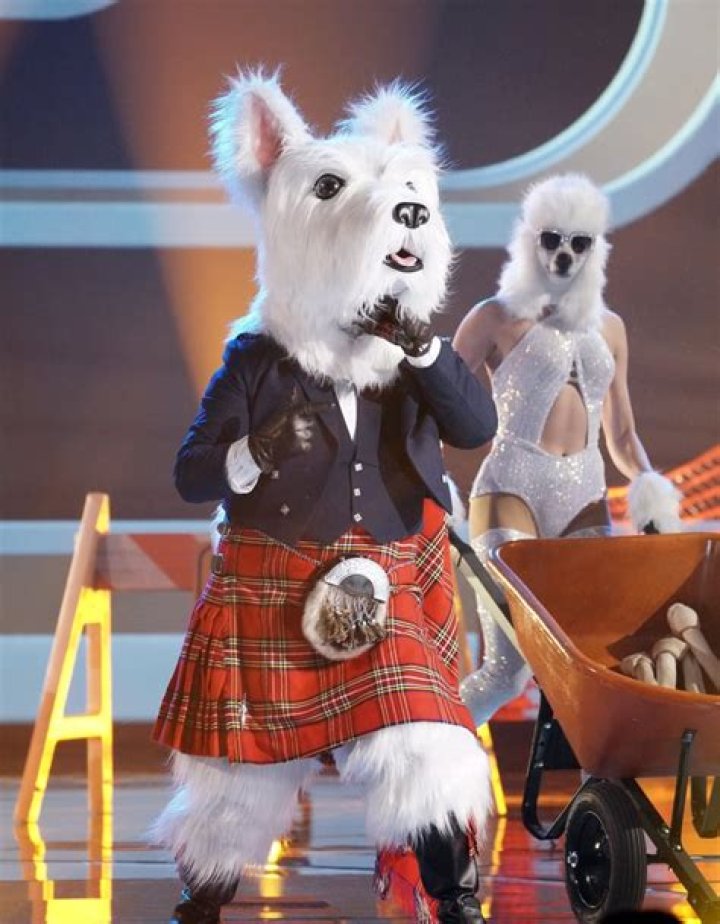 
Who Is Mcterrier On Masked Singer? Face Revealed After The Costume Malfunction On Stage 