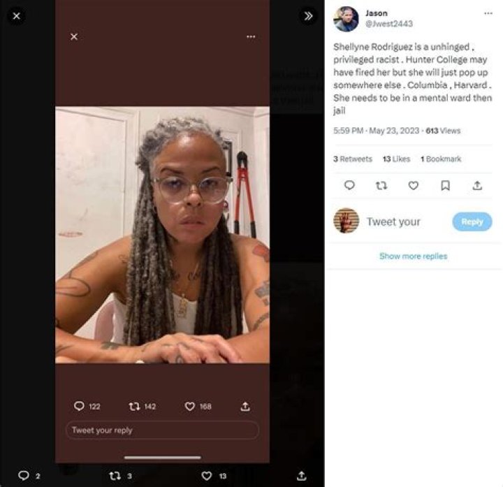 
Who is Shellyne Rodriguez? Video of former Hunter College teacher wielding machete against reporter leaves netizens stunned 