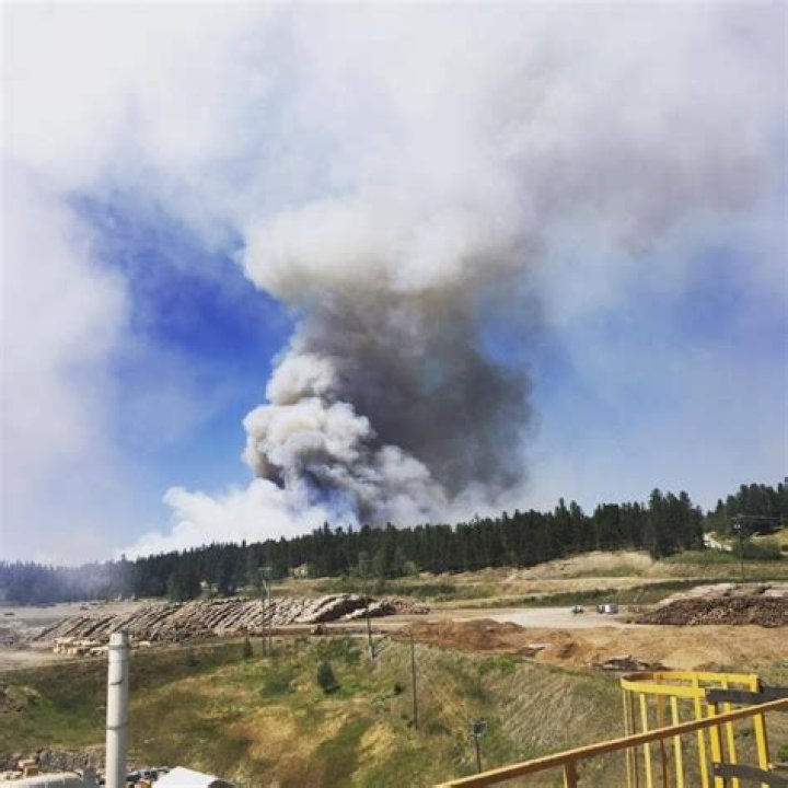 
Wildfires burns over 3,200 hectares of land in France 